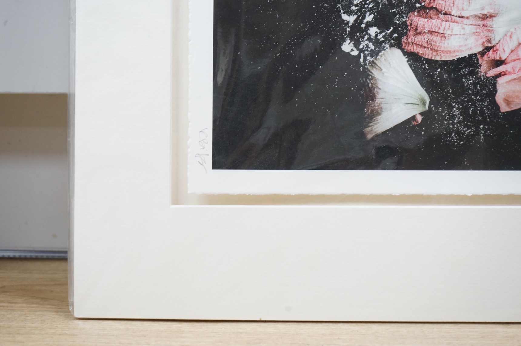 Valda Bailey (Contemporary), three abstracts to include Study of a flower and leaves, photographic prints, each pencil signed and numbered, mounted, 33 x 44cm, unframed